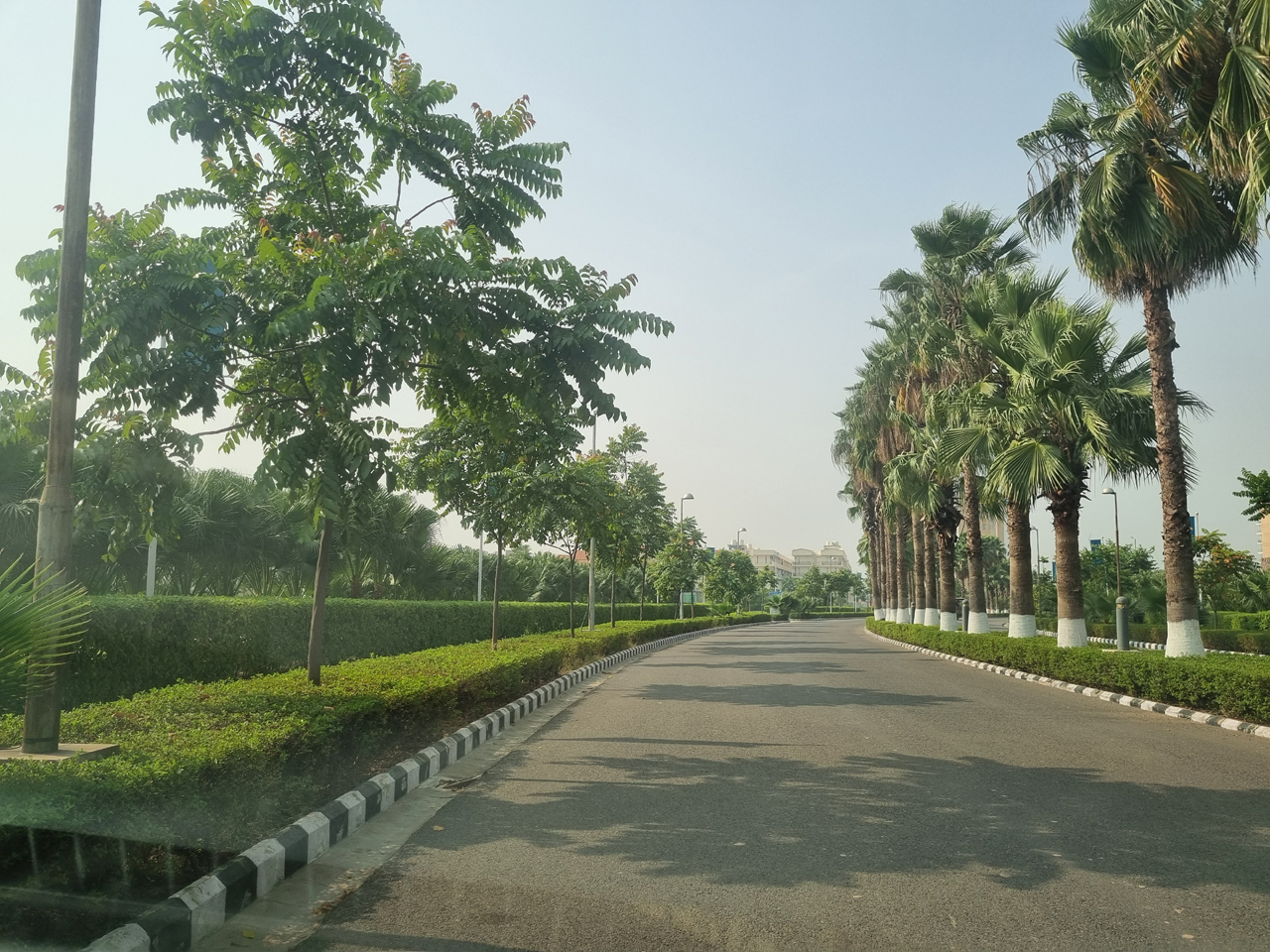 Wave Estate Sector 85 Mohali