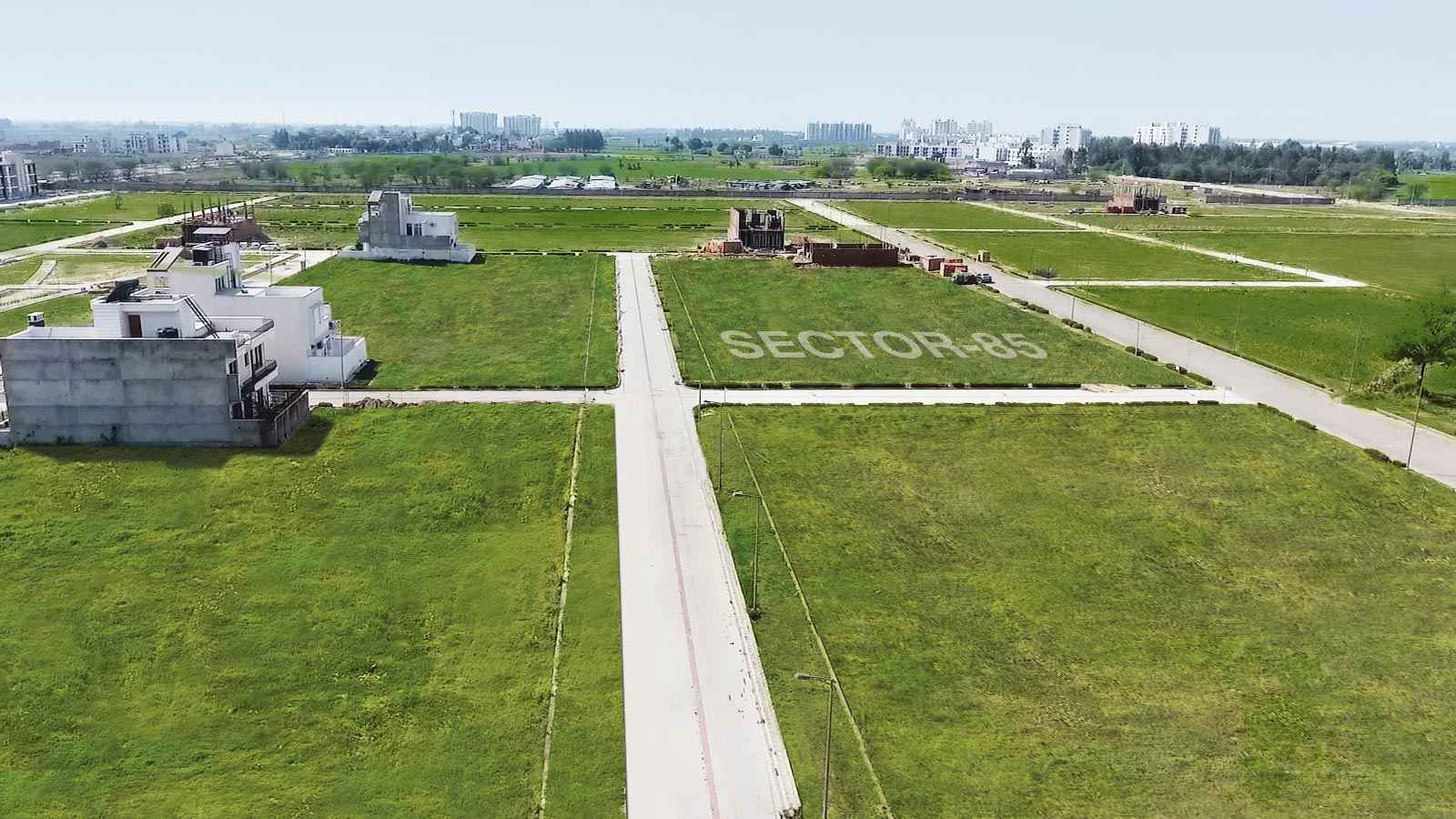 Wave Plots in Mohali