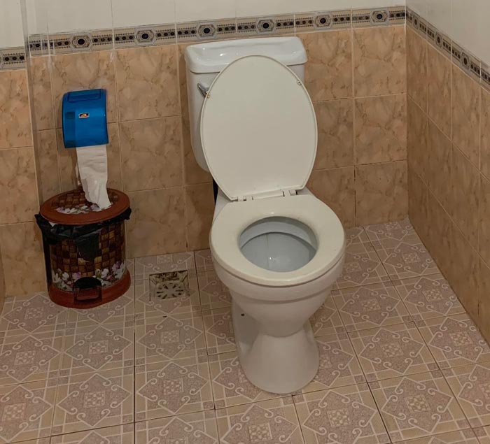 pic4
